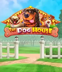 Pragmatic Play's The Dog House, offering an adorable journey through lovable dogs. Engage in features including multipliers, aimed at providing entertaining gameplay. Ideal for animal enthusiasts a cheerful atmosphere alongside lucrative rewards.