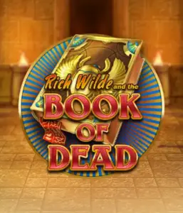 Embark on the thrilling world of Book of Dead by Play'n GO, presenting vivid graphics of Rich Wilde’s adventurous journey through ancient Egyptian tombs and artifacts. Find lost riches with exciting mechanics like free spins, expanding symbols, and a gamble option. Ideal for those seeking adventure with a desire for unearthing secrets.